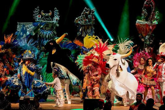 Parintins 2026 a bordo